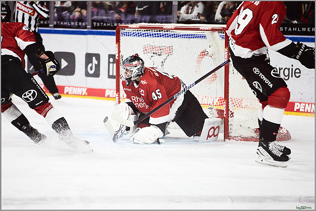 PENNY DEL; Koelner Haie- Straubing Tigers; Koeln, 15.12.2023